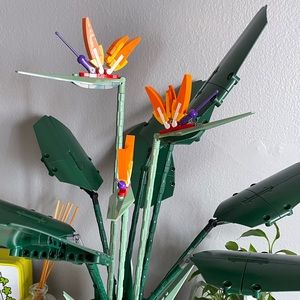 Meet your Posher, Lynn